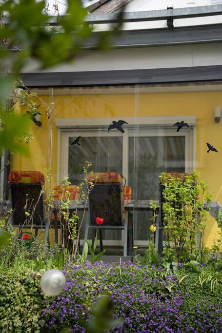 Zahrada ubytování Urlaub mit verglaster Terrasse