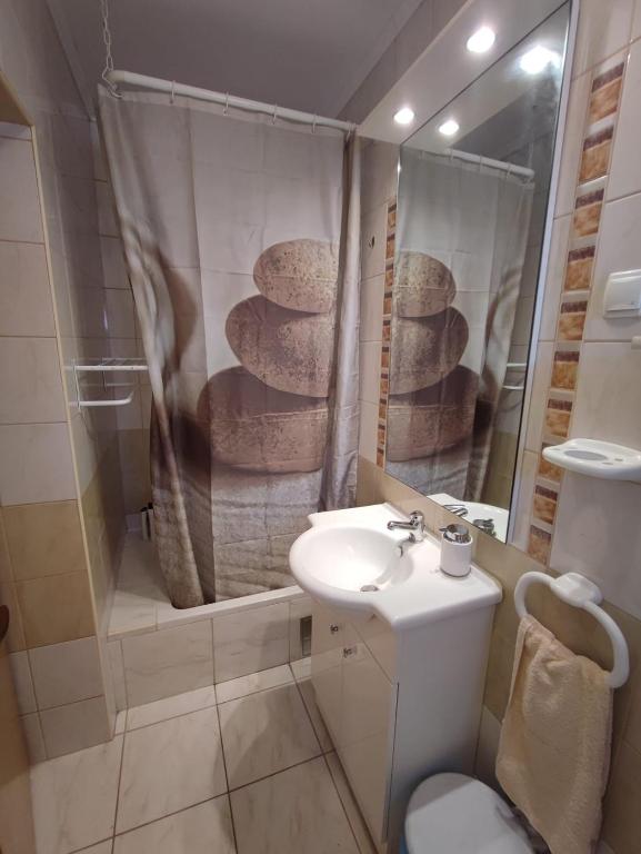 a bathroom with a sink and a shower and a toilet at Jasmina in Senj