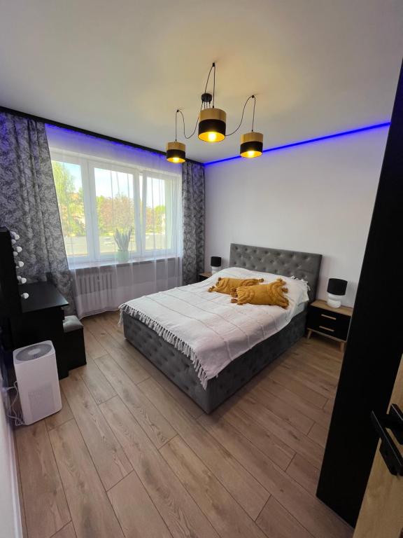 - une chambre avec un lit dans une pièce dotée de lumières bleues dans l'établissement Brylant, à Zamość