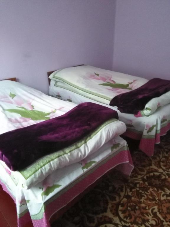 Postel nebo postele na pokoji v ubytování Maia's Guest House Gergeti