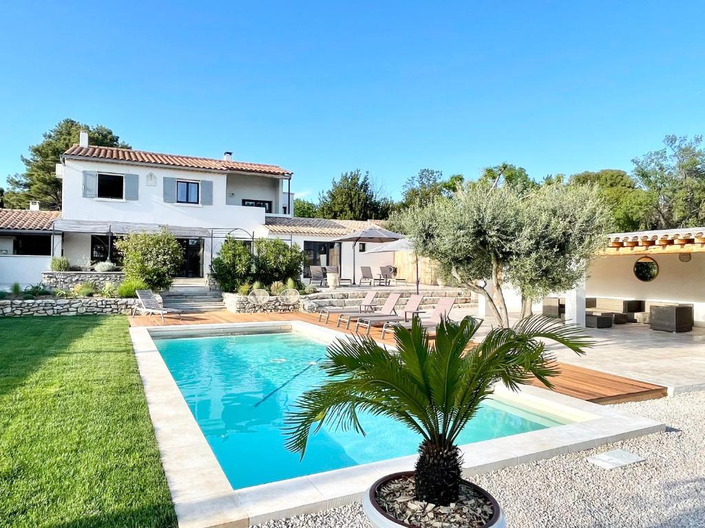 a house with a pool and a palm tree in the yard at Bastide La Mérigot - Maussane-les-Alpilles in Maussane-les-Alpilles