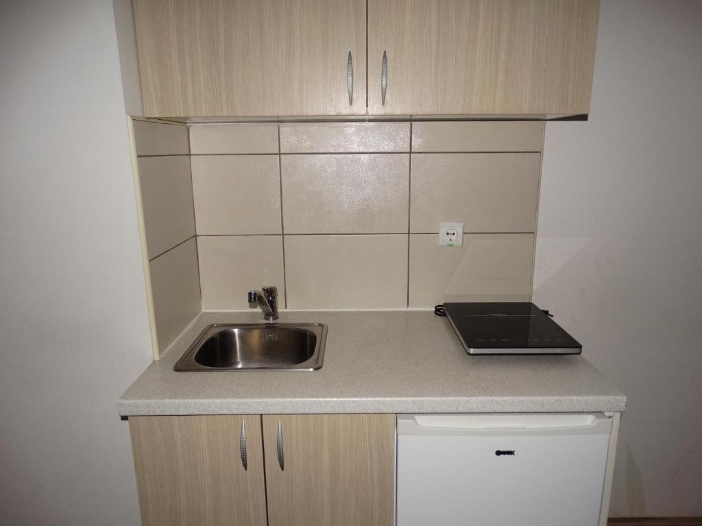 a kitchen with a sink and a counter top at Vila Jenic in Soko Banja