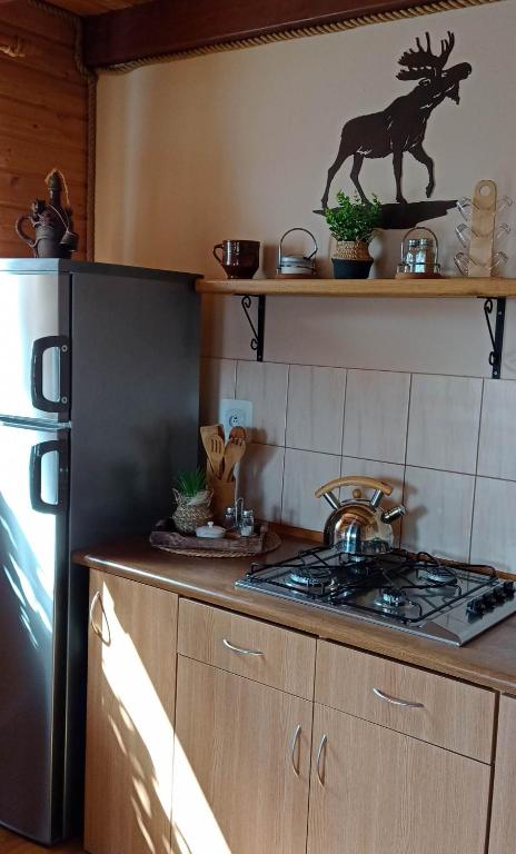 Kuchnia lub aneks kuchenny w obiekcie Domki Komfort