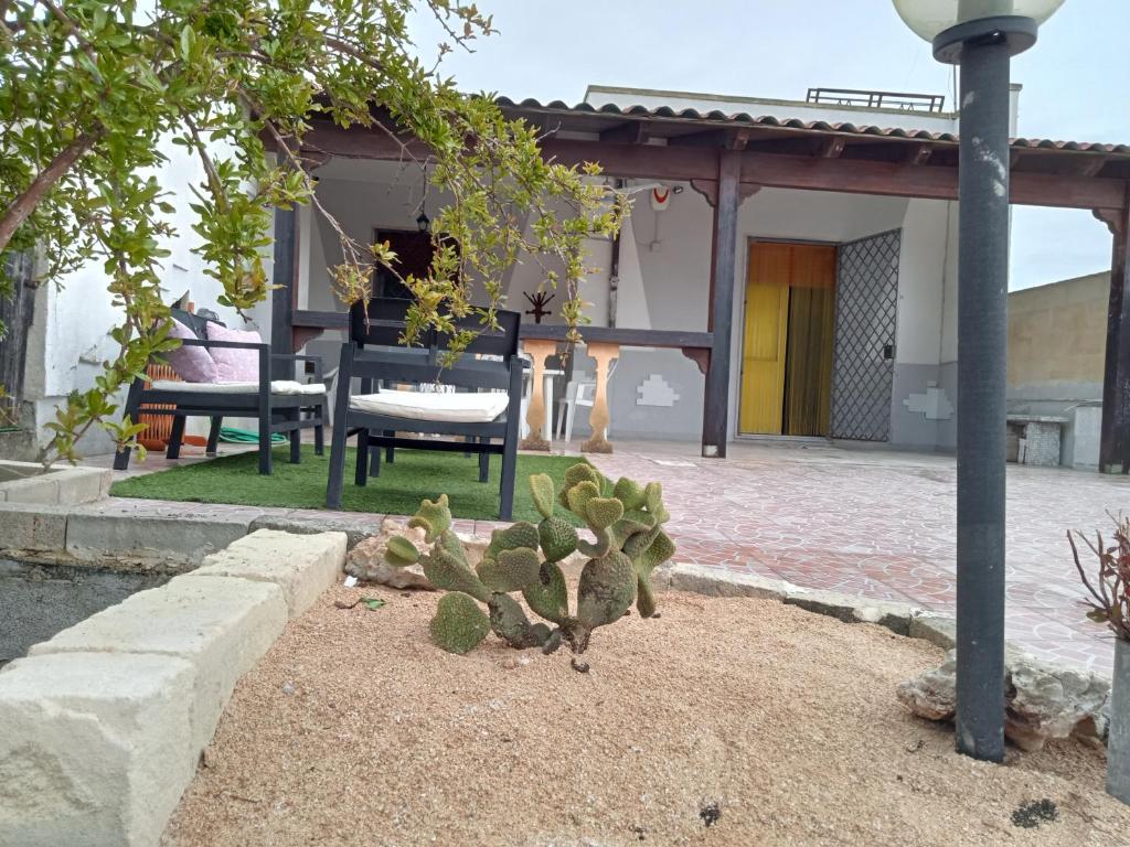 un patio con mesa, silla y cactus en Casa Paky en Punta Prosciutto