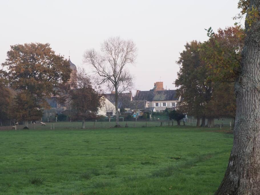 a field of green grass with houses and a tree at Gîte Location des 4 saisons in Bacilly
