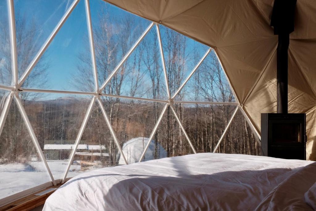 Fotografie z fotogalerie ubytování mi-clos - luxury pods with private jacuzzis v destinaci Orford