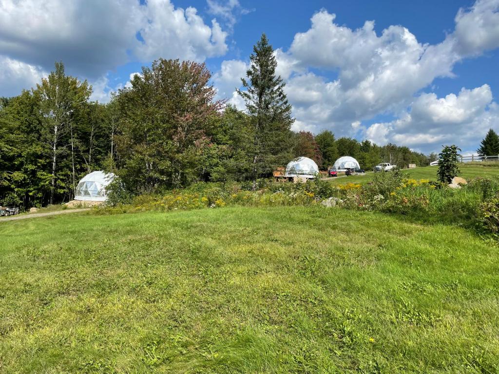 Fotografie z fotogalerie ubytování mi-clos - luxury pods with private jacuzzis v destinaci Orford