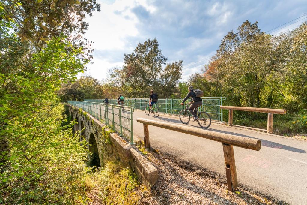 Jazda na bicykli v okolí ubytovania Camping les lodges du lagon