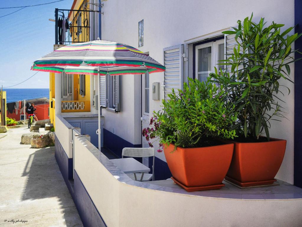 a balcony with a table and an umbrella and plants at Casa de Peniche in Peniche