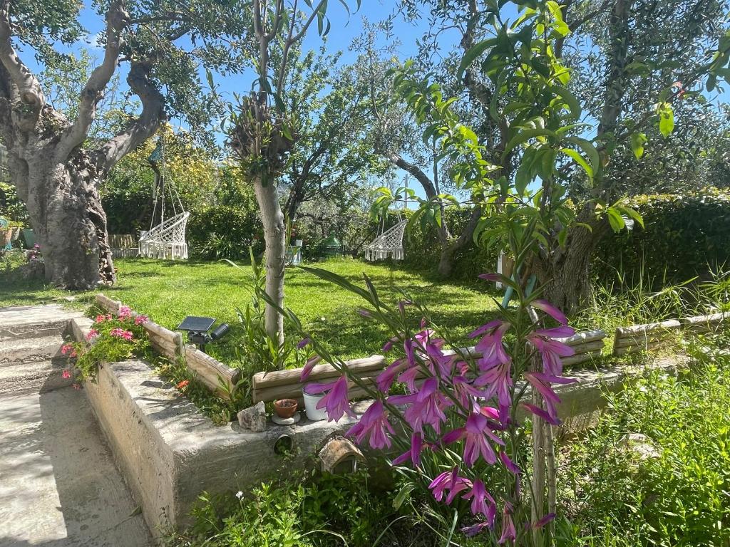Zahrada ubytování B&B Case Vacanza Orchidea marina di Macchia vicino a Mattinata Gargano