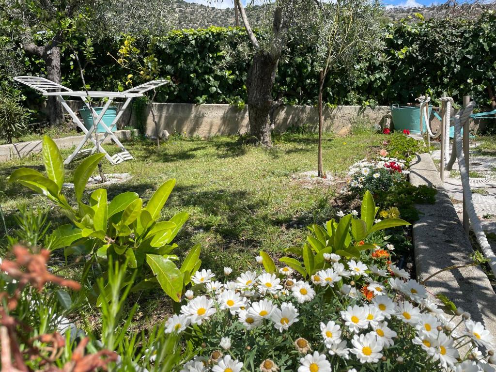 Zahrada ubytování B&B Case Vacanza Orchidea marina di Macchia vicino a Mattinata Gargano
