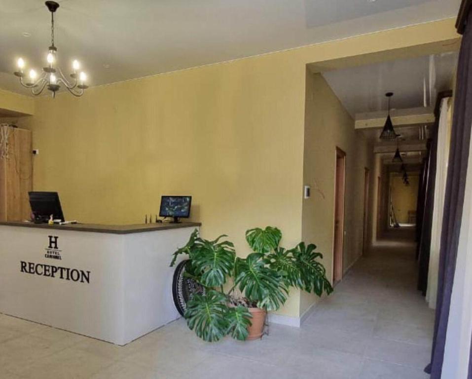 Vstupní hala nebo recepce v ubytování Hotel Canionel