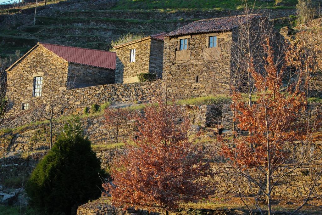 une maison en pierre au sommet d'une colline dans l'établissement Cardenha do Douro, à Mesão Frio