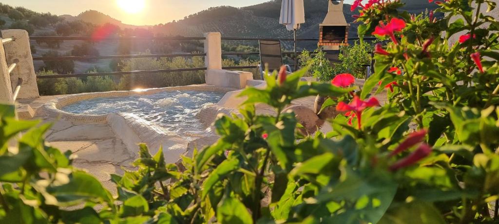 Mansion Alba, Alcaudete – Precios actualizados 2023