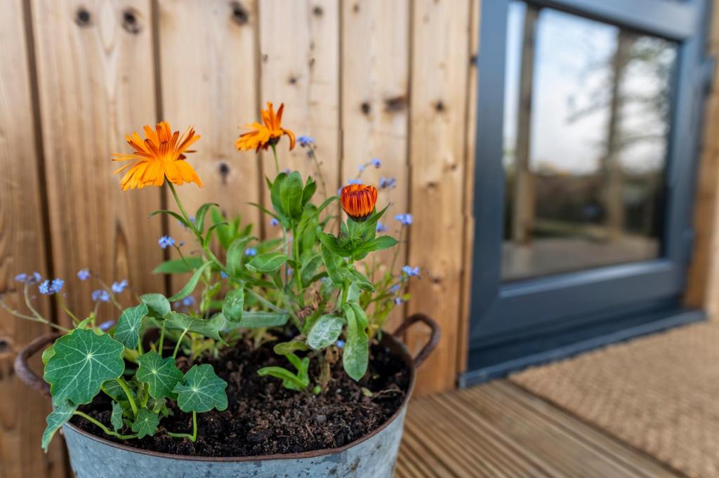 a pot with flowers in it next to a fence at Luxury Glamping Cabin with Outdoor Bath on Cornish Flower Farm in Truro