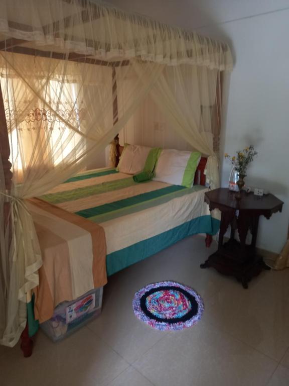 Squirrel villa - отзывы и видео