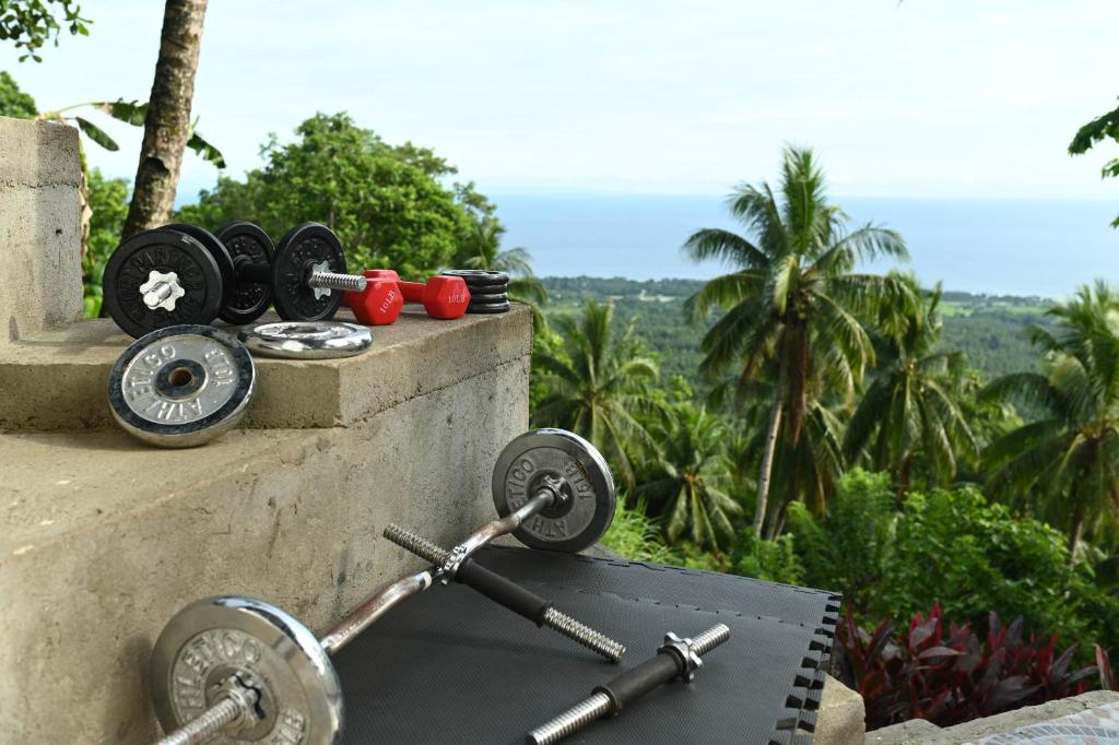 a pile of weights on a wall with palm trees at The balcony of the camiguin island in Mambajao