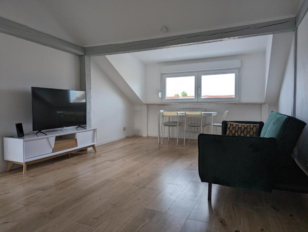 ein Wohnzimmer mit einem Sofa und einem Flachbild-TV in der Unterkunft Le Vauban - appartement 2 chambres, salon, cuisine équipée, parking et wifi gratuit in Mulhouse