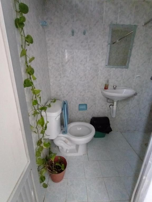a bathroom with a toilet and a sink at casa bambú in Palenque