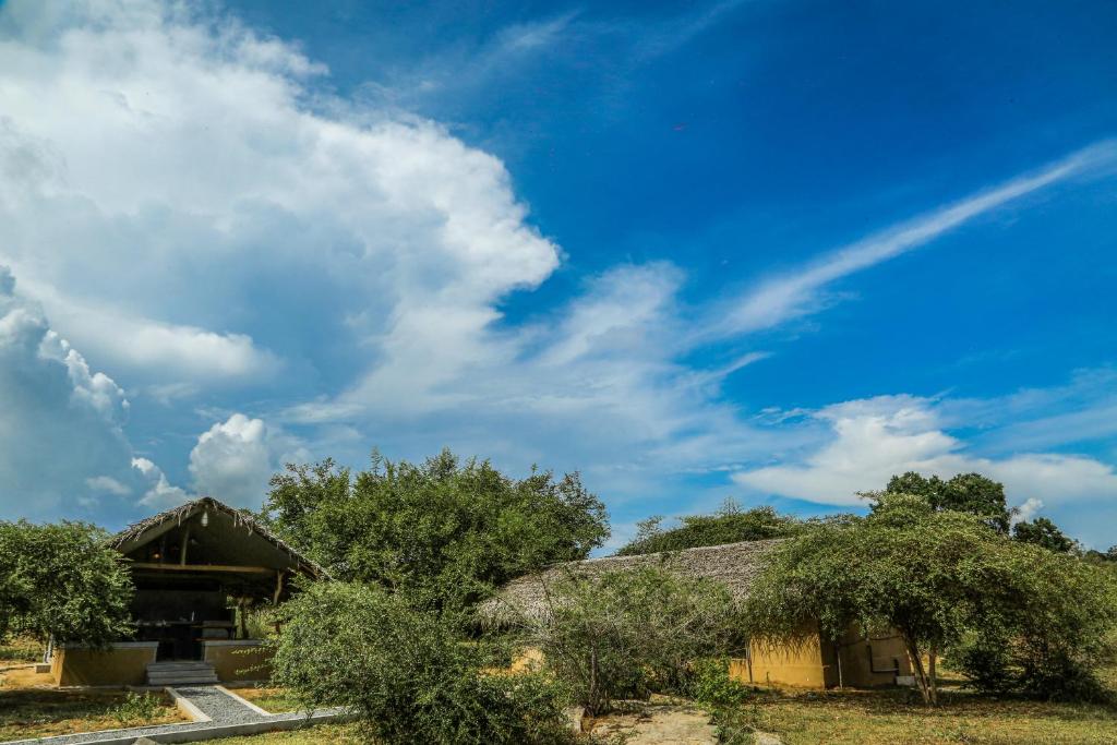 Příroda nedaleko luxury tent
