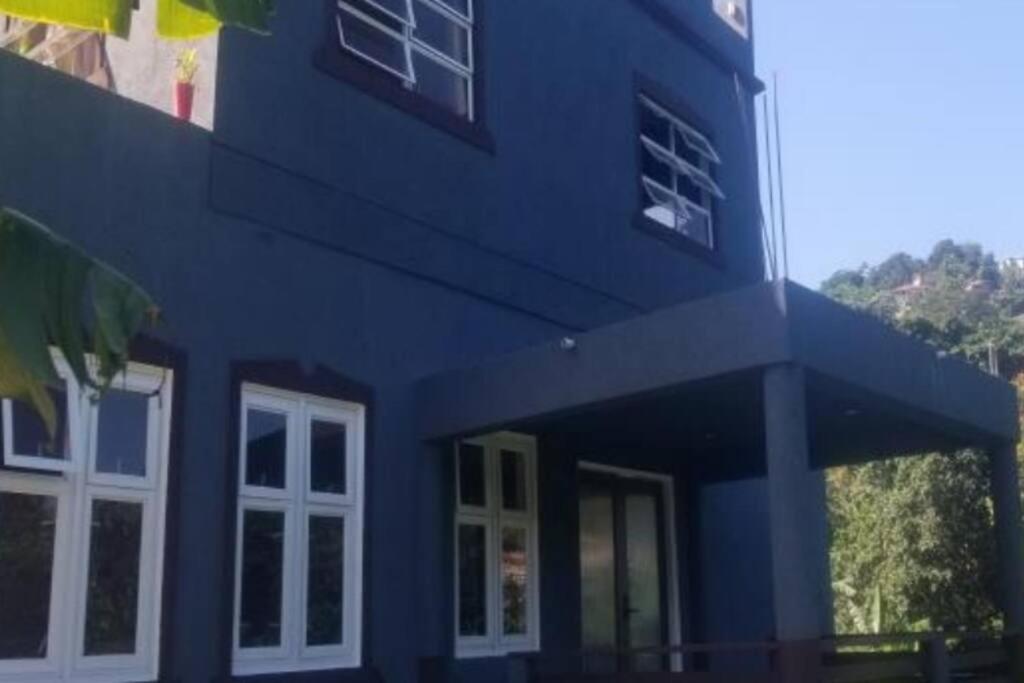 a blue building with white windows and a door at Samm's Apartment in Hyde Park