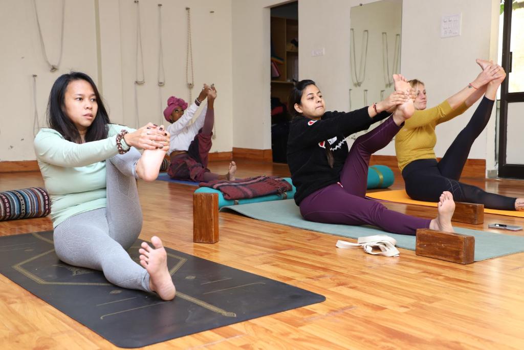 Rishikesh stay with free yoga