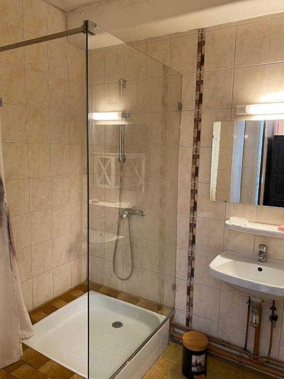 uma casa de banho com um chuveiro e um lavatório. em Motel - location studio 4 personnes em Morbier