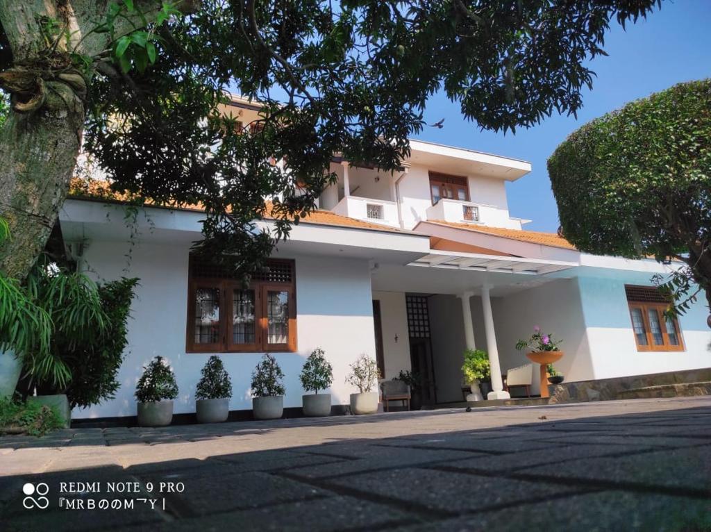 a white house with potted plants in front of it at Suriya Arana in Negombo