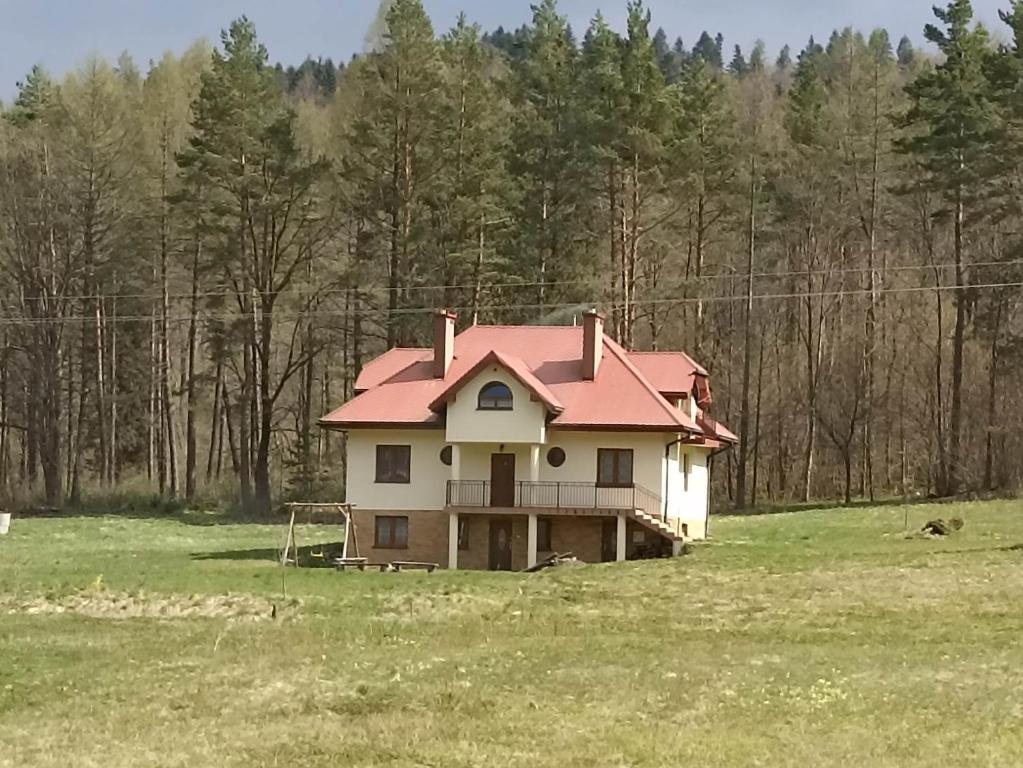 a house with a red roof in a field at Kazikówka 