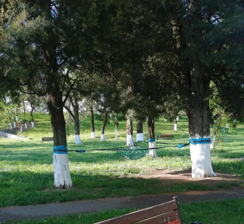 a park with trees with blue tape on them at AmigoHD² in Hunedoara