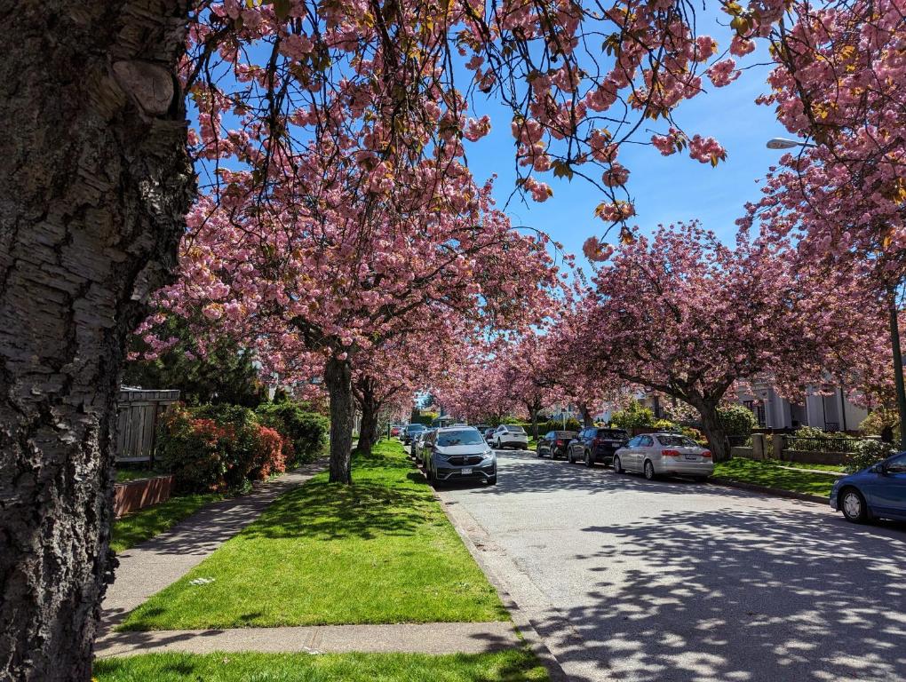 Nice home away at Vancouver near YVR photo