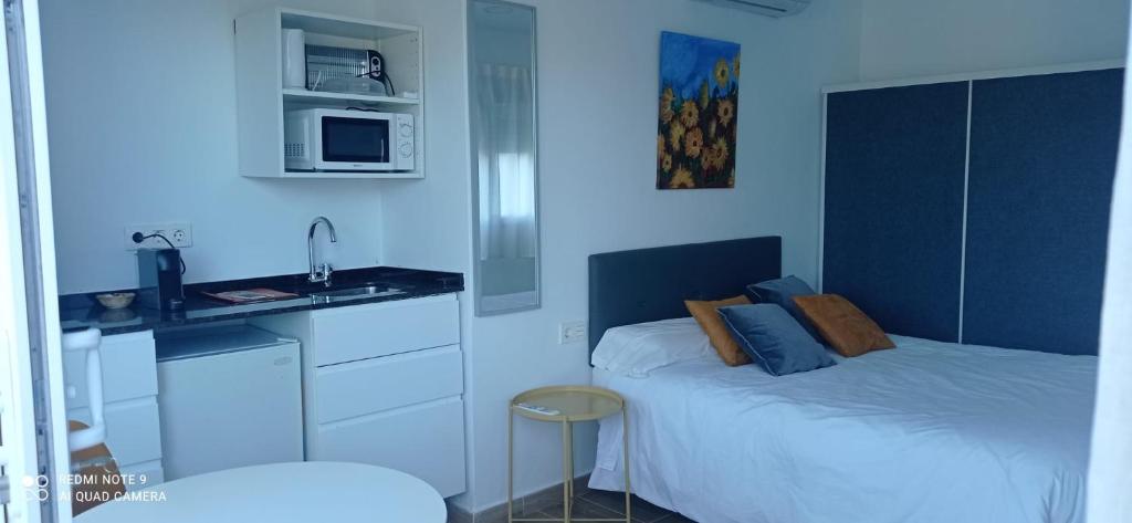Apartamentos y Habitaciones KAI MARBELLA - Estudio Con Terraza