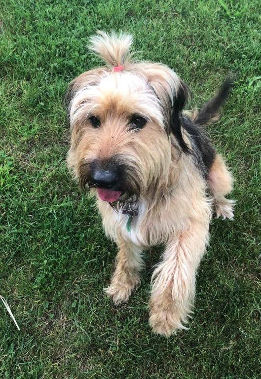 Summerfields B & B - Resim 23