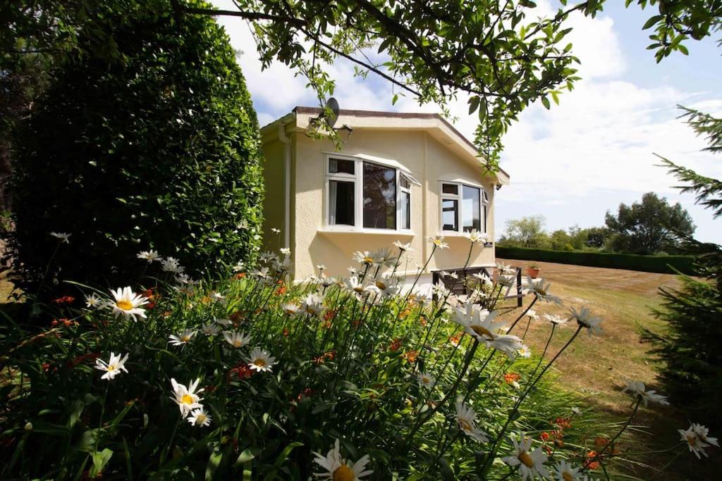 a small house in a field with flowers at The Little House in Uplyme