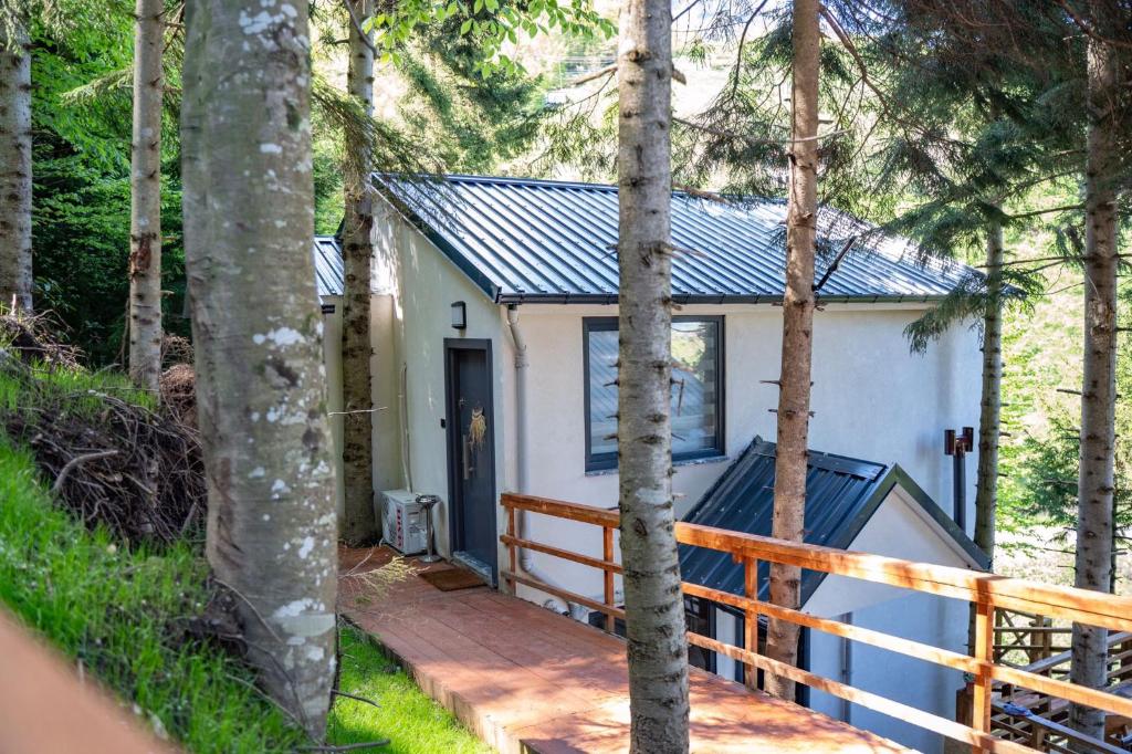 Montana Suite Bungalows - 1