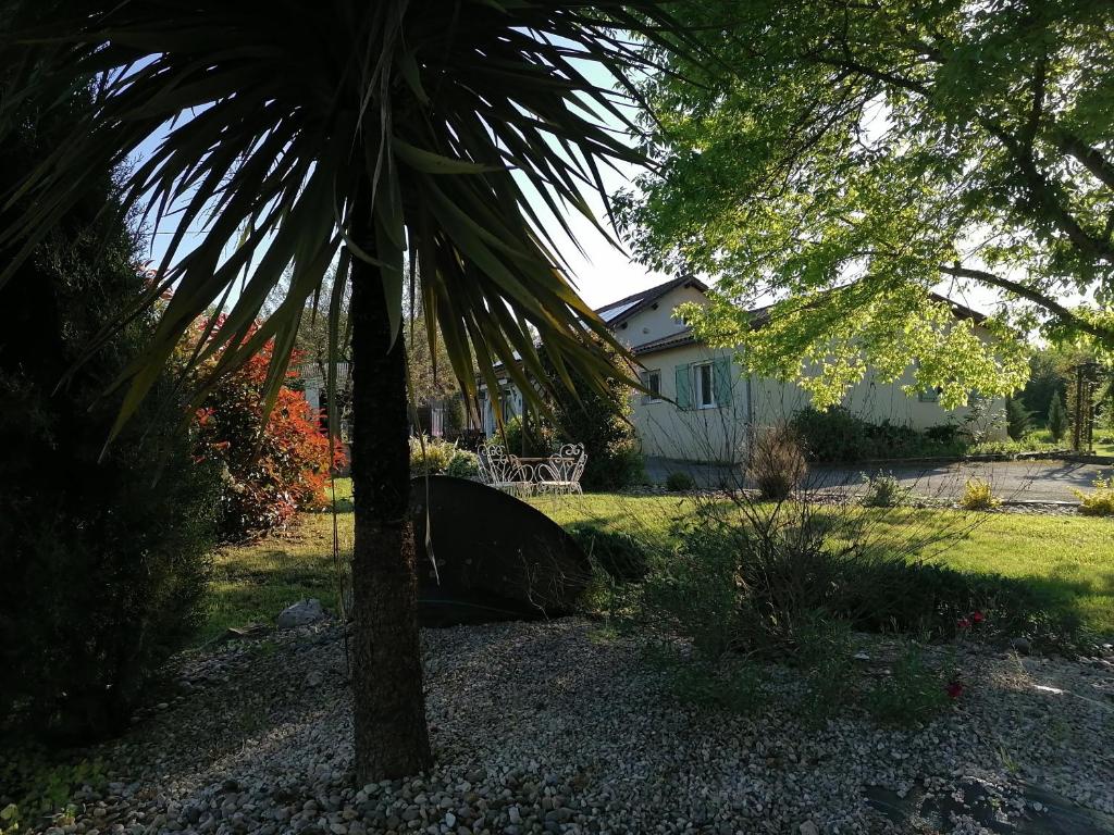 un palmier et un zèbre dans une cour dans l'établissement Gîte "le pitous", à Cahuzac