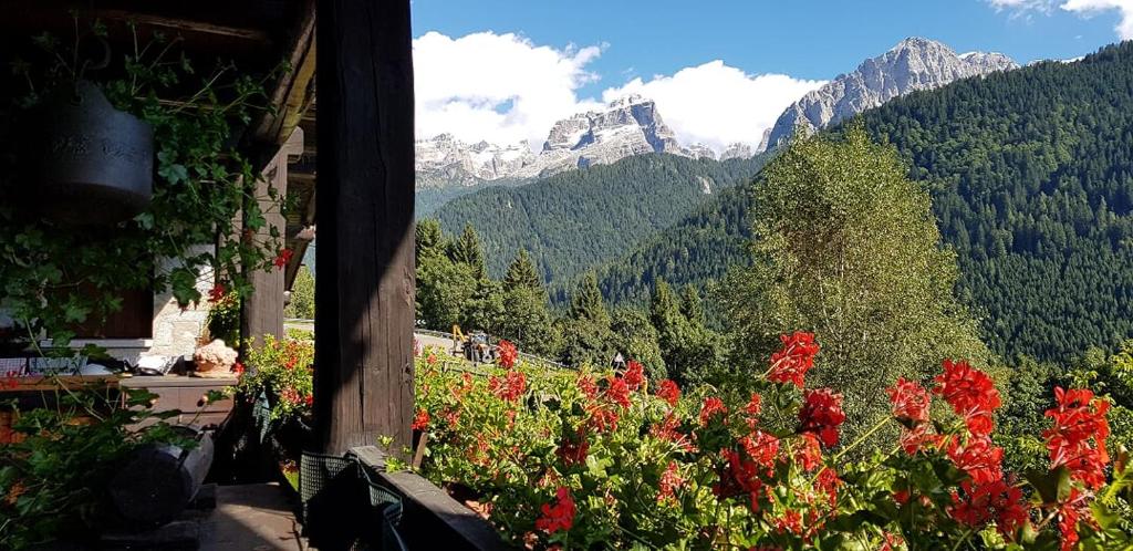 Trilocale Maso Palù - Serafini, Madonna di Campiglio — property photo 5