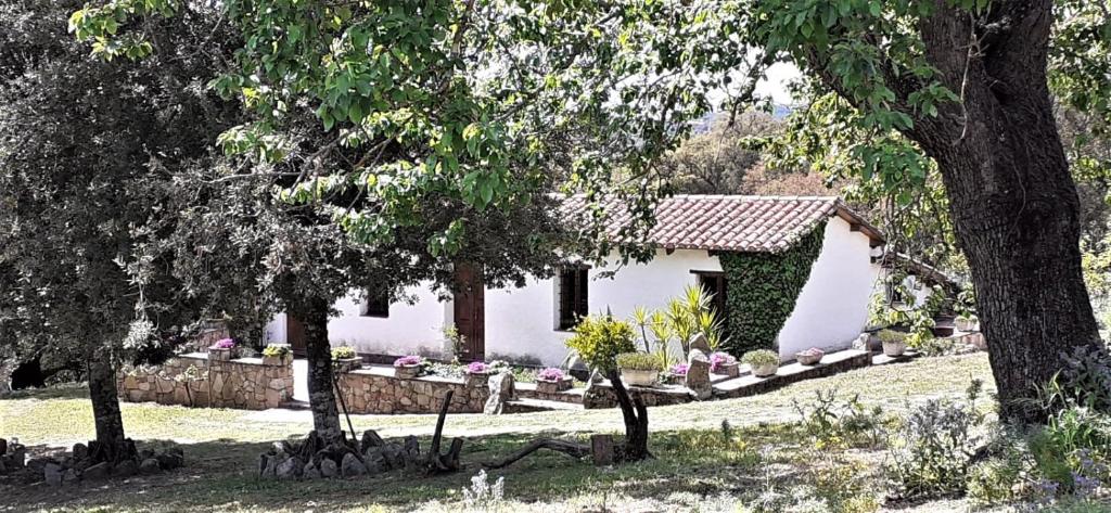 una piccola casa bianca con degli alberi di fronte di B&B I Menhir a Sorgono