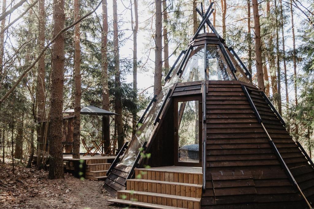 a treehouse in the woods with stairs and a roof at CallTipi glass house in Kalgriaužiai
