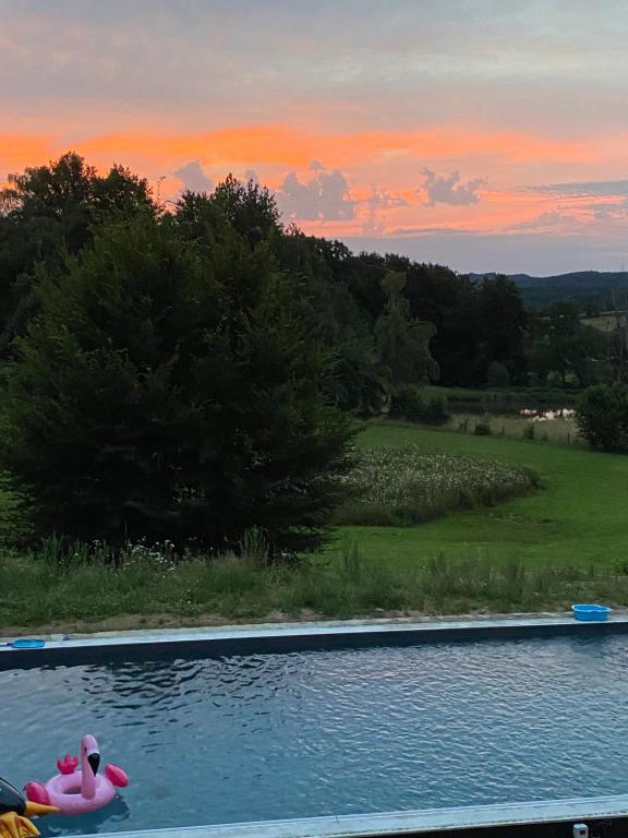 a pool with a pink duck in the water at sunset at Une pause en Corrèze in Sarroux