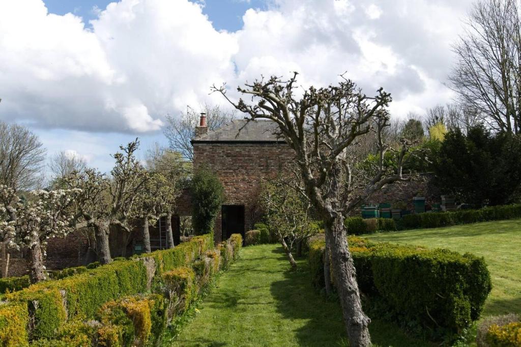 a garden with trees and a brick building at Cosy secret cottage in a beautiful walled garden in Ryton