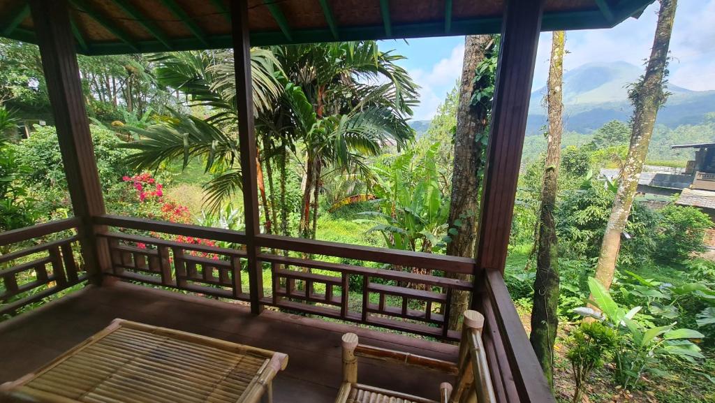 Zahrada ubytování Rimba eco Resort
