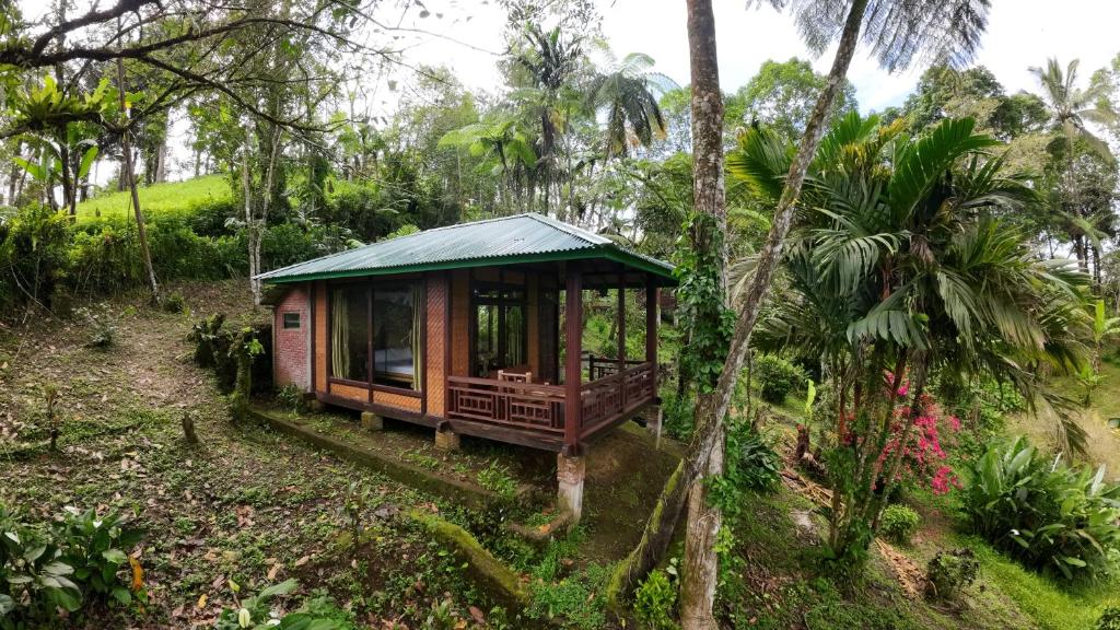 uma pequena casa no meio de uma floresta em Rimba eco Resort em Tomohon