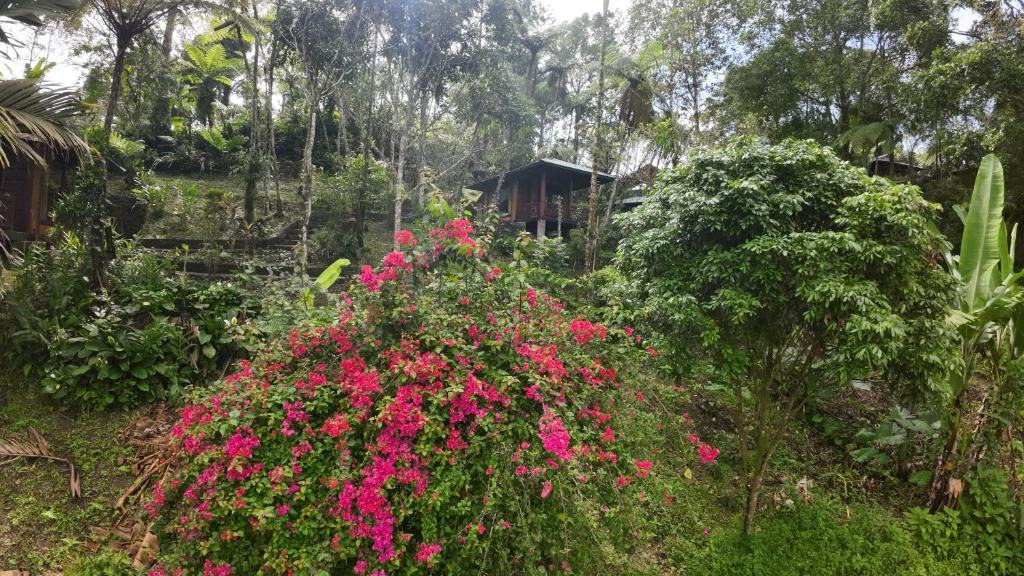 Zahrada ubytování Rimba eco Resort