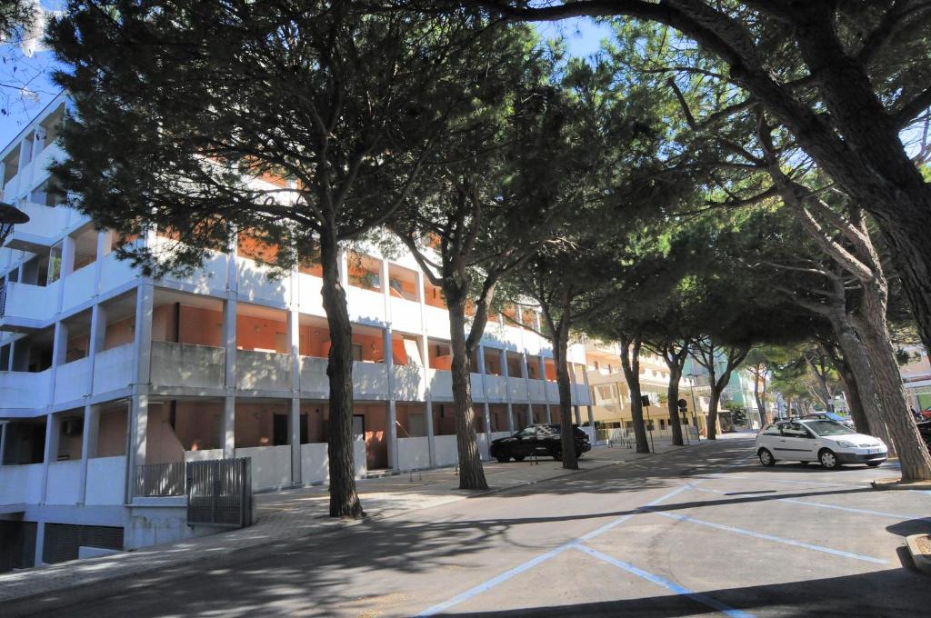Duca degli Abruzzi