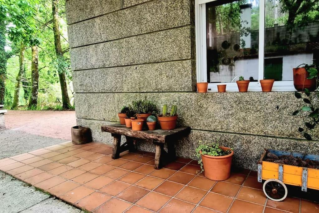 Zahrada ubytování Casa MATRIA