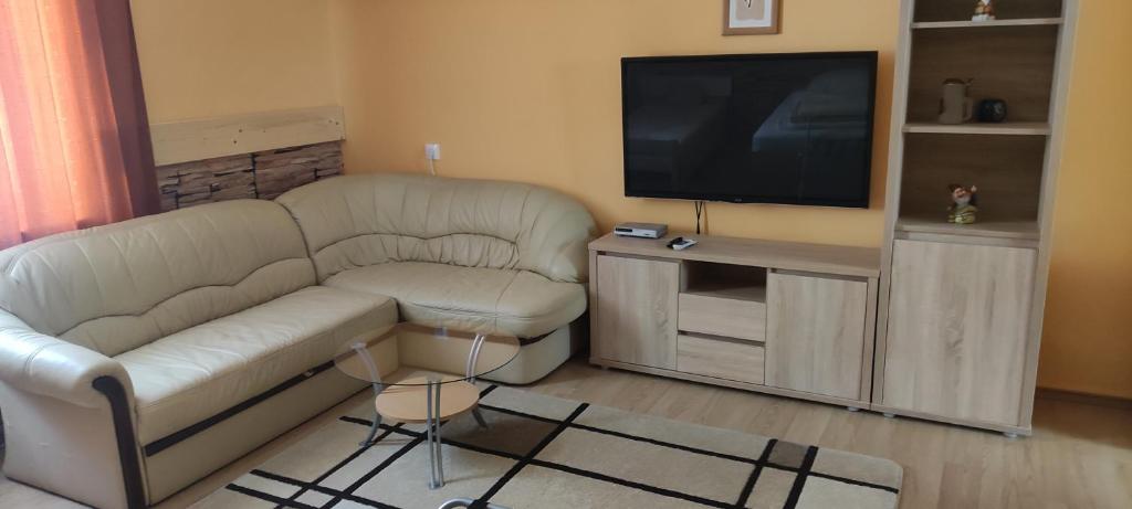 Televízia a/alebo spoločenská miestnosť v ubytovaní Krisztina Apartman