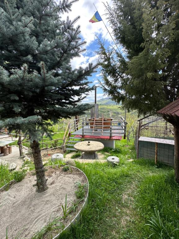 un parque con una mesa de picnic y una cometa en el cielo en Cabana Tinca en Corbeni