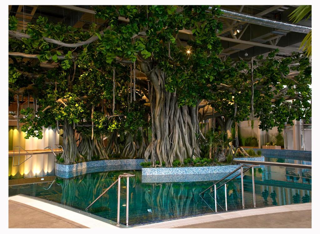 Bazén v ubytování Amazonia Apartments nebo v jeho okolí