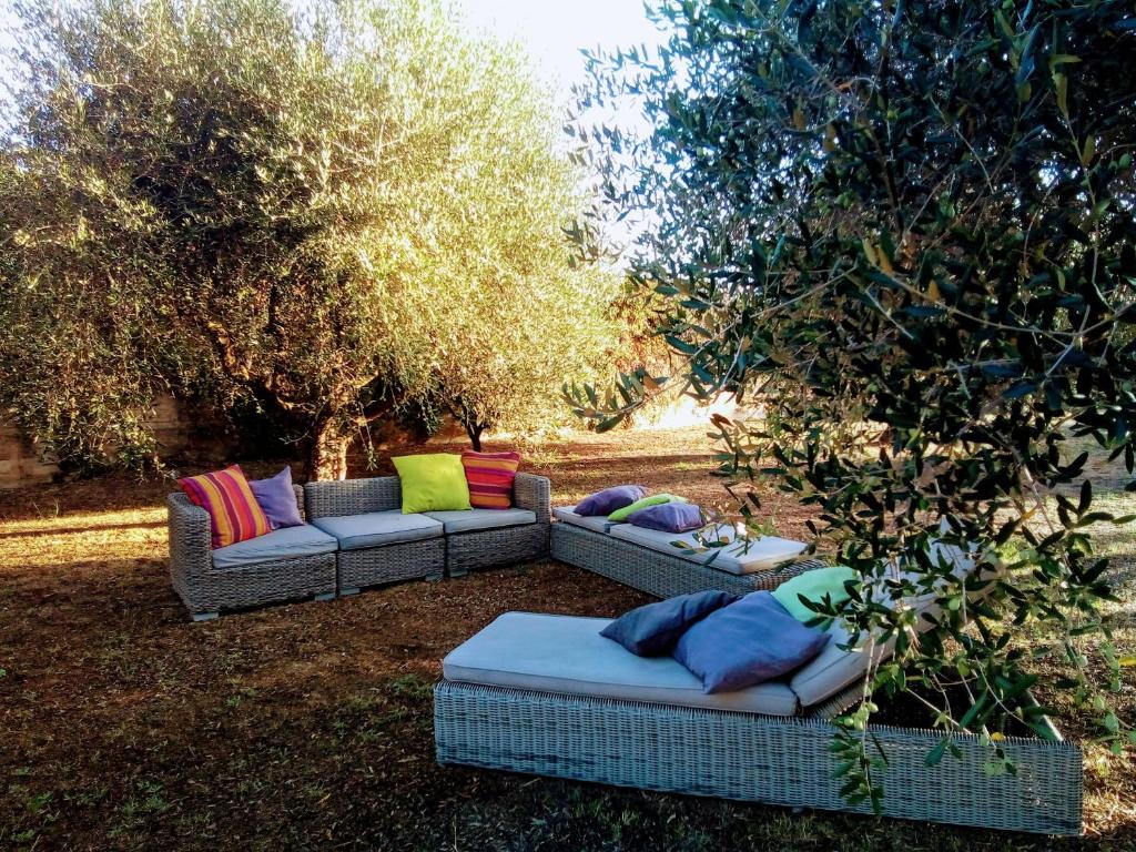 twee banken met kleurrijke kussens in het gras bij Residenza nella campagna di Roma Capitale. in Rome